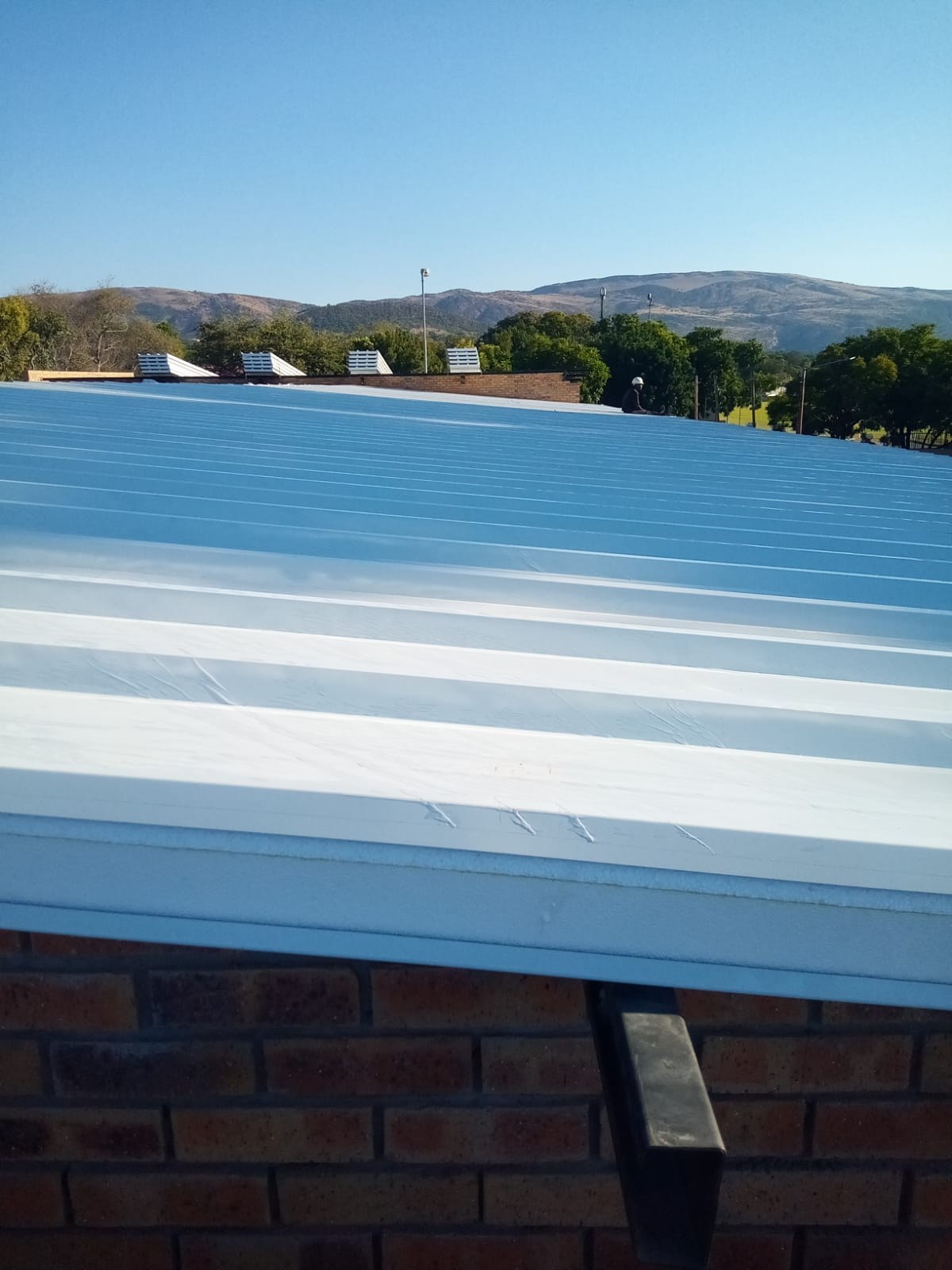 A panel end at the eave, the top skin still carrying its blue protective film. The build-up reads along the end: profiled steel skin on top, a band of white insulation core, flat steel pan underneath - landing on a black steel eaves beam over the brickwork.