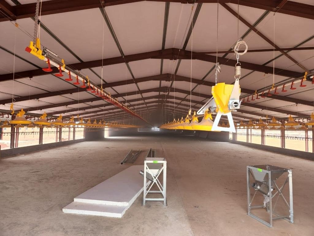 Finished poultry house interior with insulated ceiling boards overhead and feeder lines installed