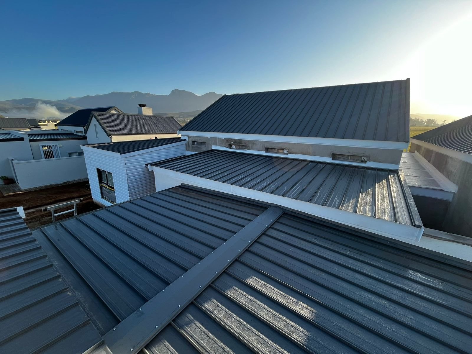 Standing-seam steel roofs on a row of houses with mountains in the background