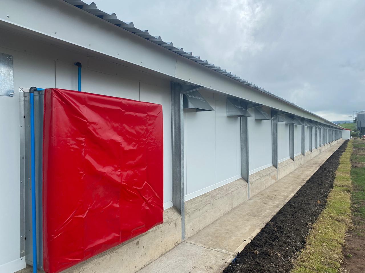 The finished sidewall. LiteSpan wall panels on a concrete plinth, with the base closure running the length of the wall, the eaves flashing above, and the Plasson air inlets set into the panel.