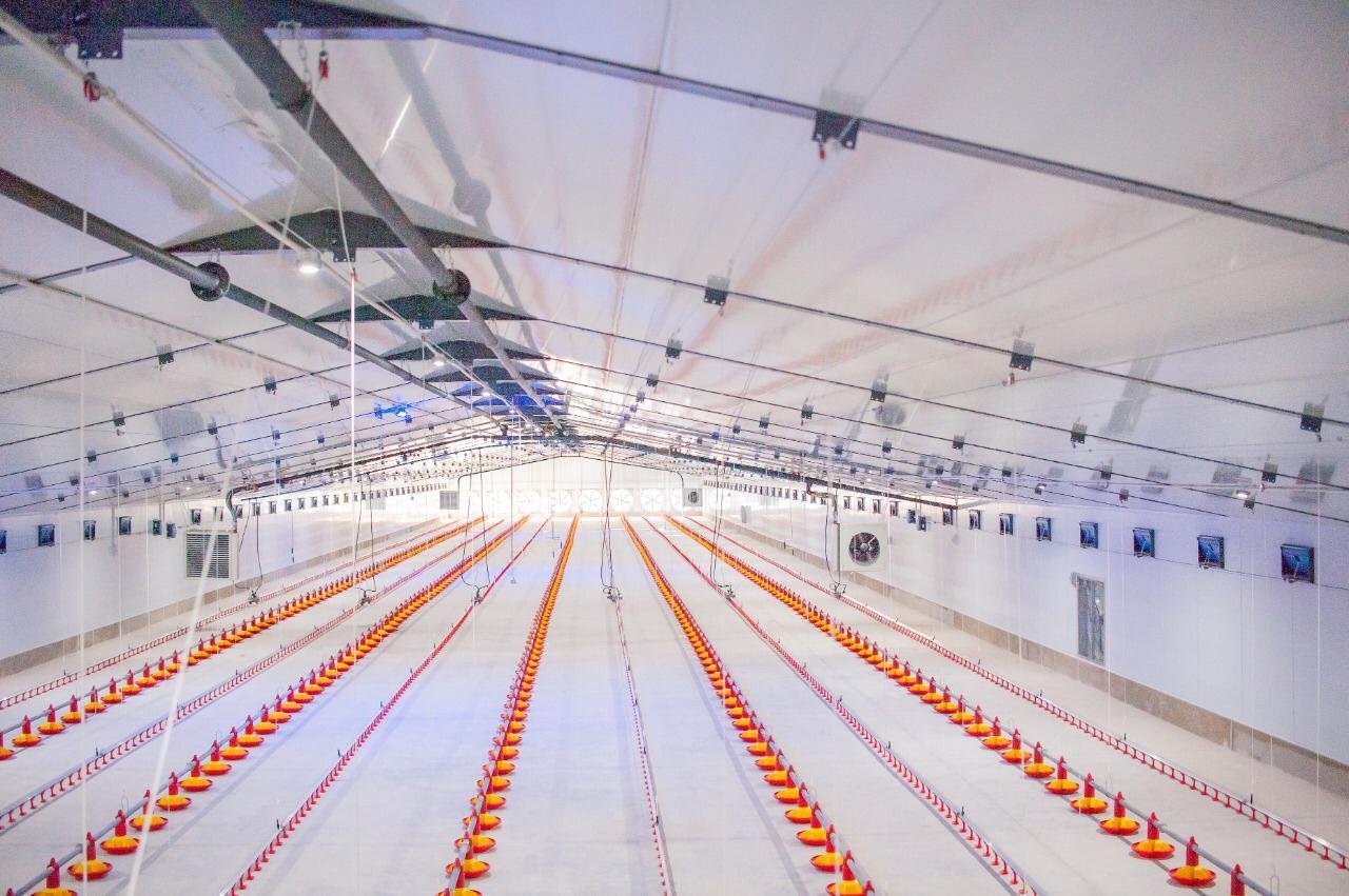 Poultry house aisle with insulated ceiling panels, tunnel ventilation fans lit at the far end