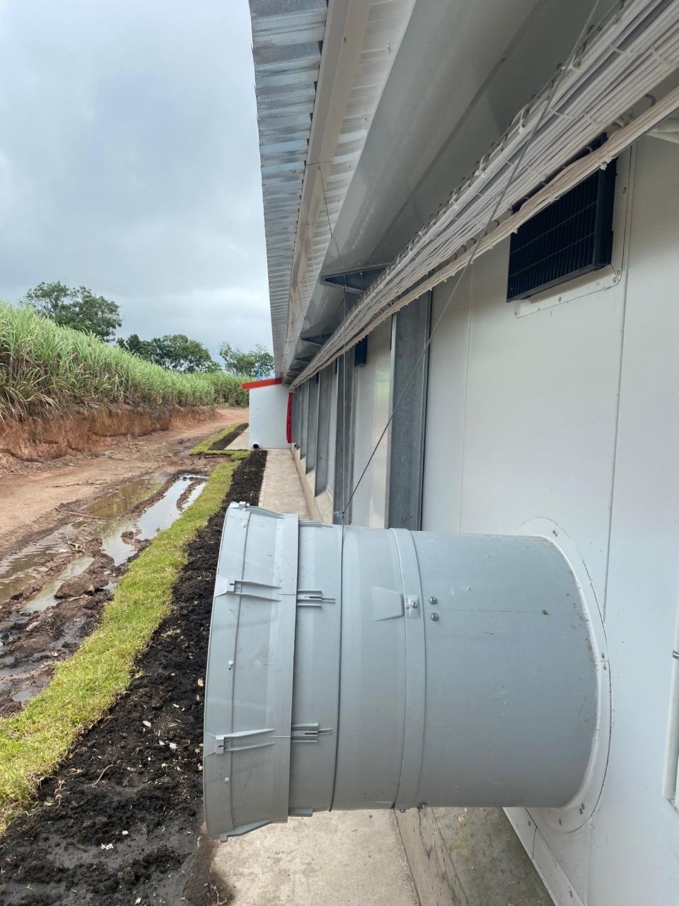 Exterior wall of a broiler house with a ventilation air-inlet cone fitted into an insulated panel